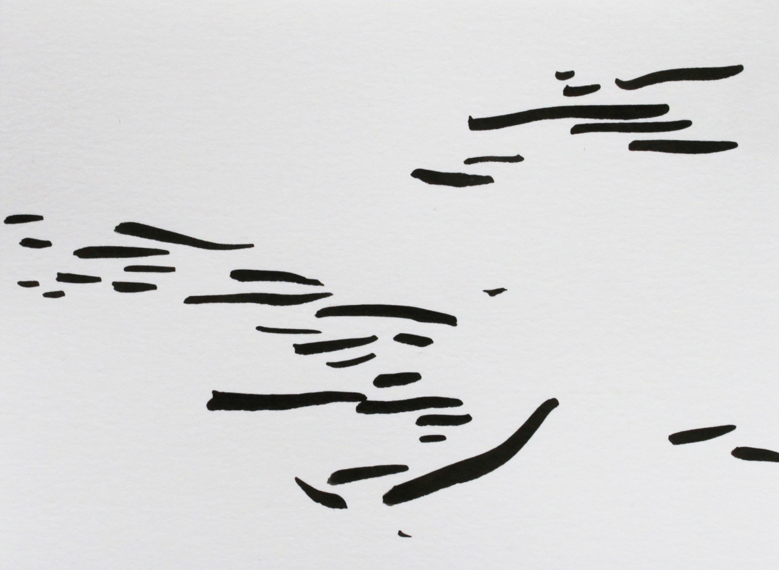 Fragments noirs, encre sur papier, 10x13,5cm, 2014, dessin
